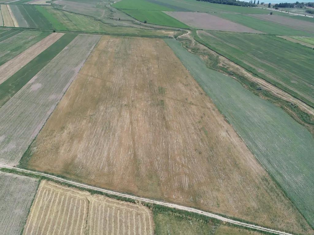A plot of land was returned to the state in the Sokuluk district