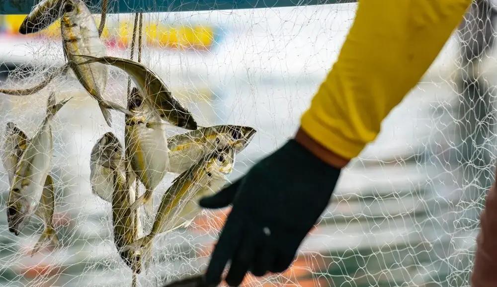 Без нарушений: в Тюпском районе не нашли сетей для браконьерства