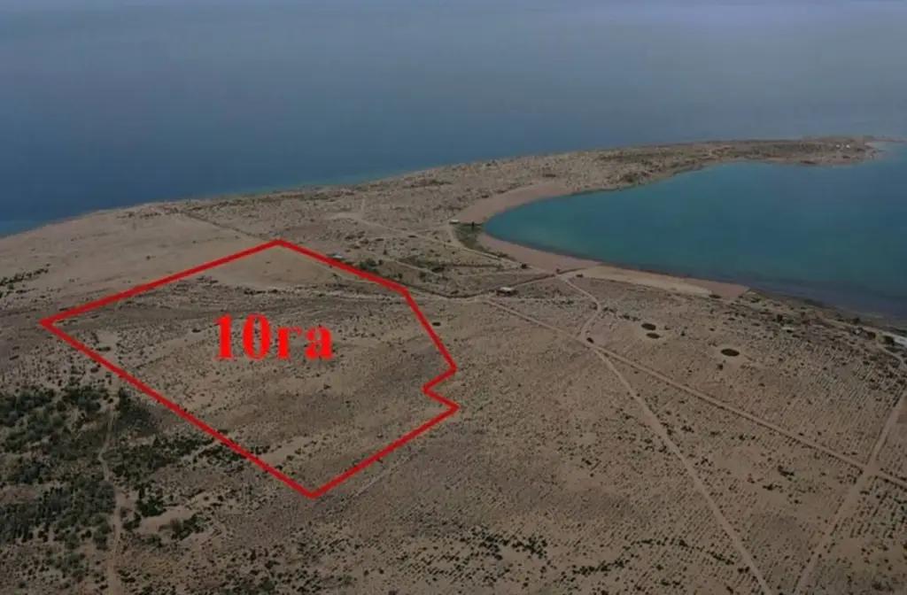 Land worth over 206 million soms returned to state ownership