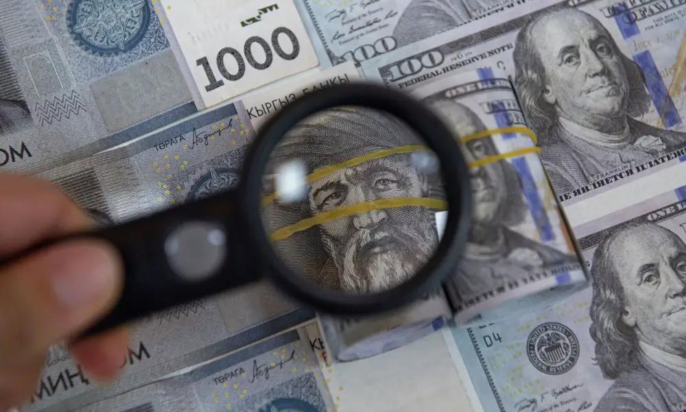 Почти 30 тысяч человек легализовали свои активы. Им может грозить запрет на гослужбу — депутат