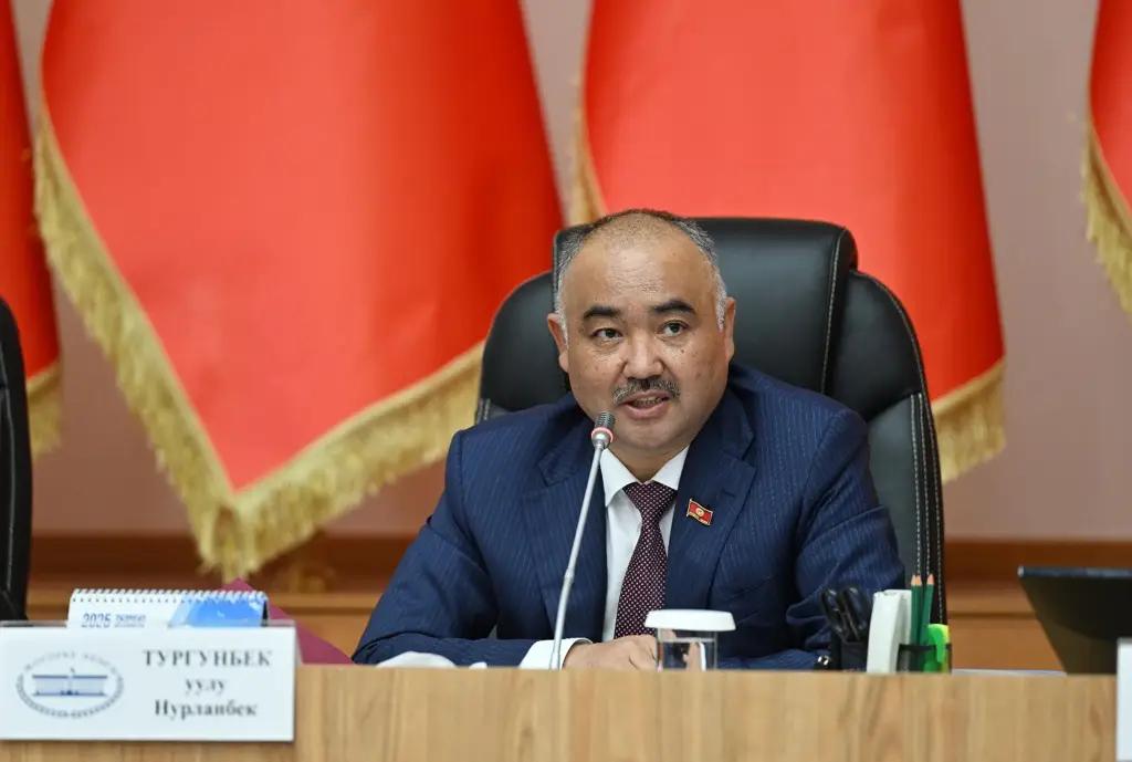 В КР предложили создать отдельное агентство по экологии и лесному хозяйству