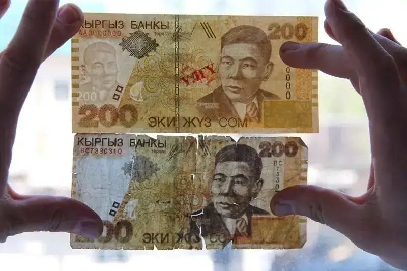 Only five counterfeit banknotes detected in Kyrgyzstan in one year