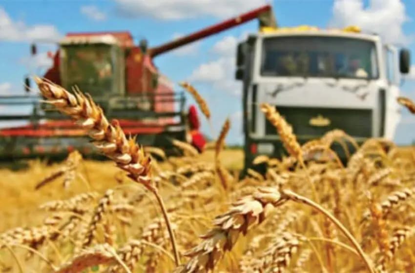 1,400 combine harvesters are ready for harvesting grain crops in the country