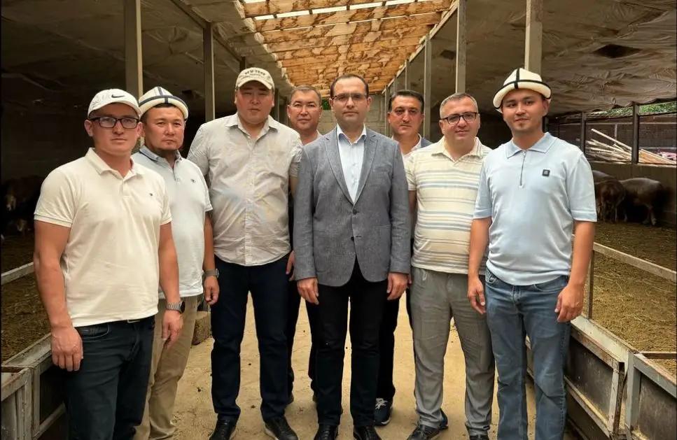 Азербайджан заинтересовался арашанской породой скота, выведенной в Кыргызстане