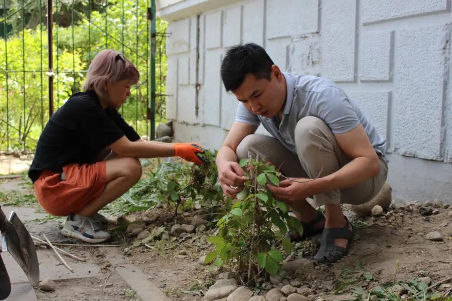 In Bishkek, work has begun on greening the facades of three schools and a residential building