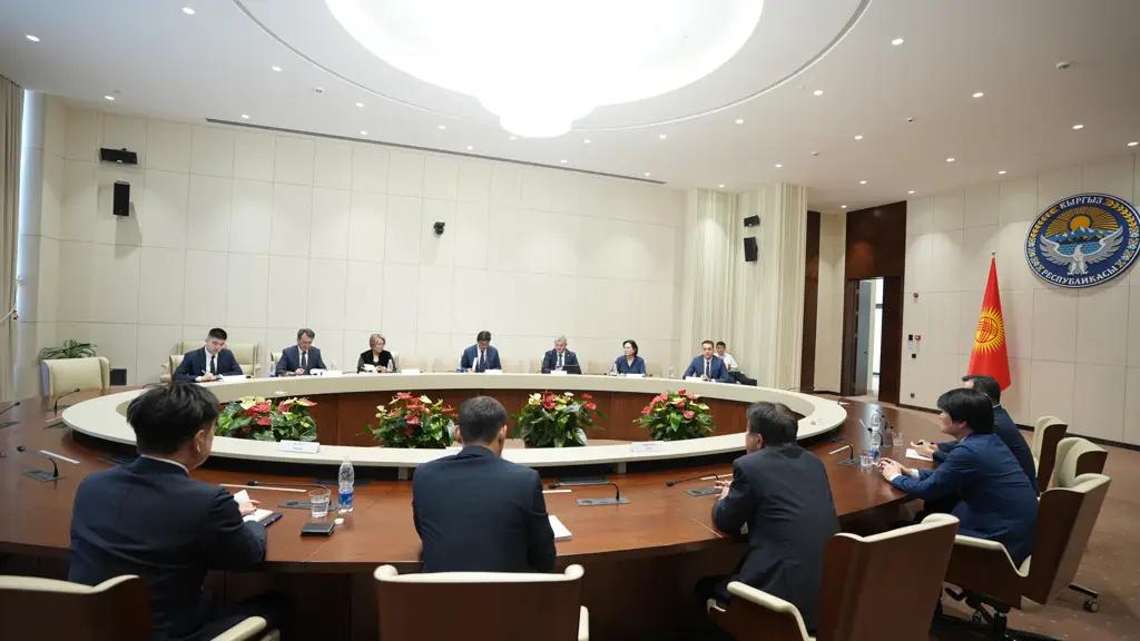 Кыргызстан и Япония обсудили сотрудничество в сферах детского питания и здравоохранения