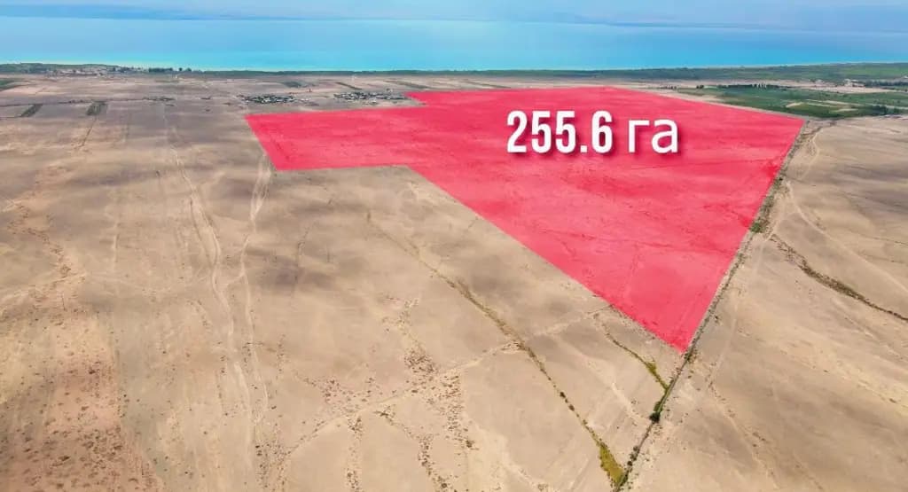 zemelnyj-uchastok-ploshhadyu-255-ga-v-balykchy-vozvrashhyon-gosudarstvu