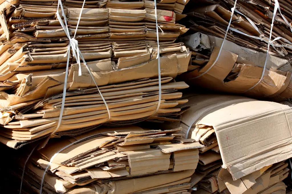 Кыргызстан ограничил вывоз макулатуры: временный запрет на 6 месяцев