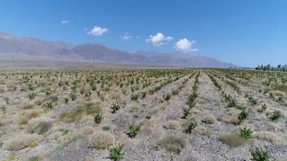 При освоении малопродуктивных земель и пастбищ гражданам будет оказана комплексная поддержка