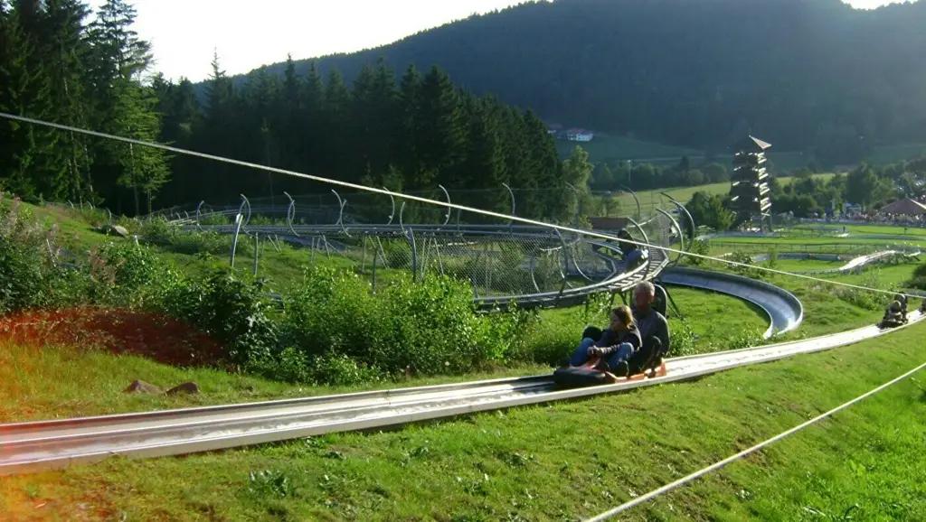 Фонд туризма ищет инвесторов для проекта «Родельбан» в горах