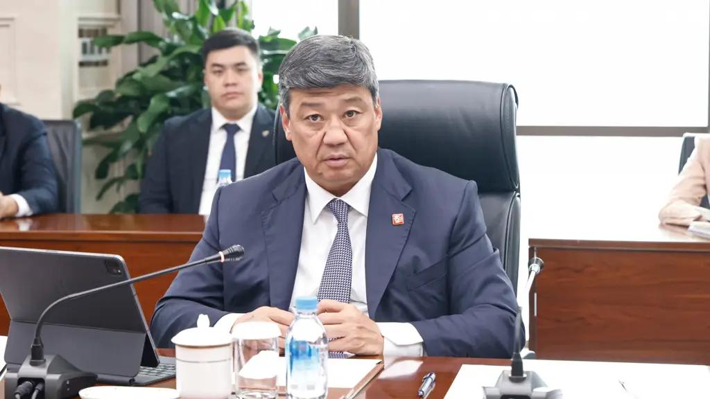 Путь через «Бедел»: Кыргызстан и Китай обсуждают строительство автодороги