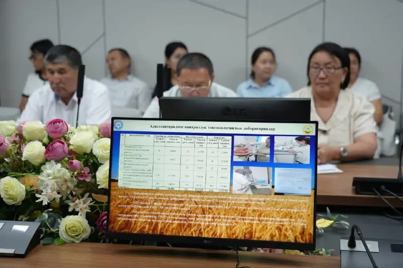 Kyrgyzstan's budget earned almost 250,000 KGS from pesticides