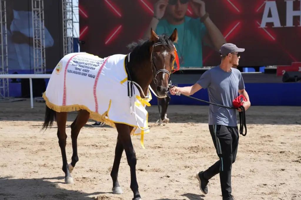 Kyrgyzstan will become a leader in equestrian sports in Central Asia, says Torobaev