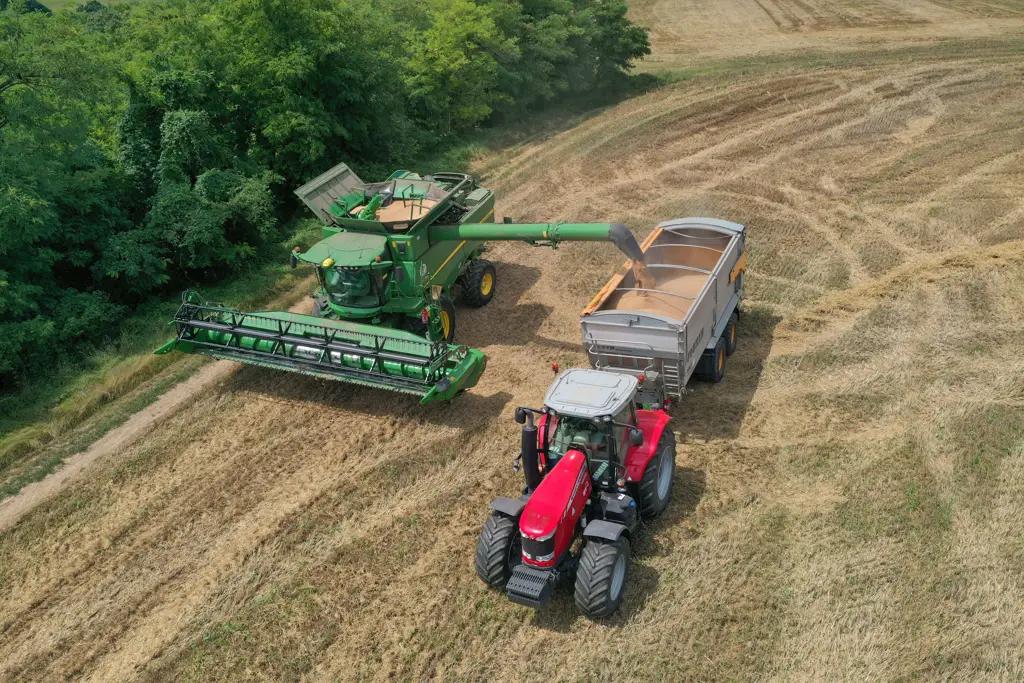Уборка зерновых: пшеница показывает лучшие результаты по валовому сбору