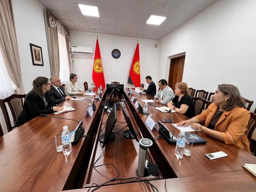 Кыргызстан обсудил возобновление бесплатного лечения кыргызстанцев в Турции