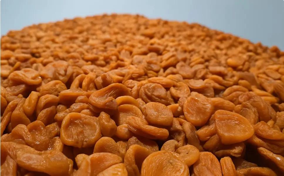 Из Кыргызстана в Китай отправлено 23 тонны сушеного абрикоса