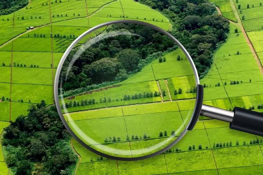 Двум детям, оставшимся без попечения родителей в Ала-Буке, выдали земельные участки