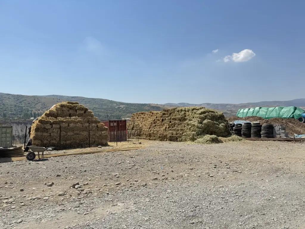 The Suzak district will provide assistance in registering land for a livestock complex