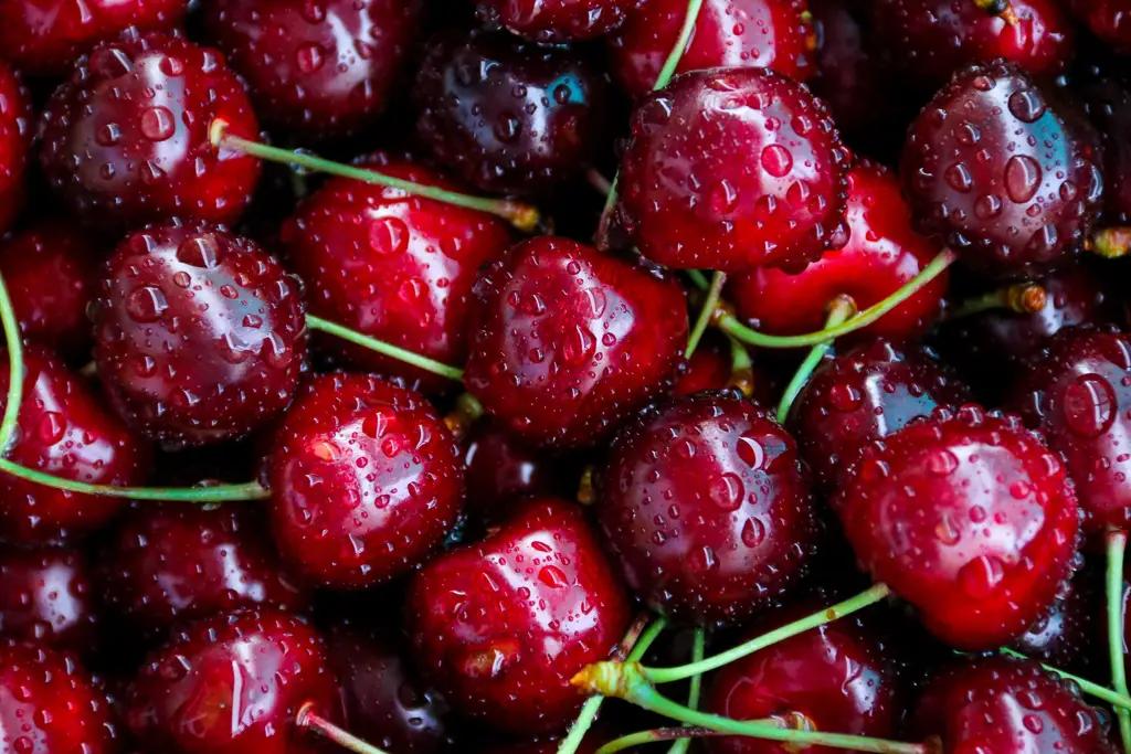 Өзбекстан Кыргызстанга 2.7 миң тонна кокон гилас экспорттоду