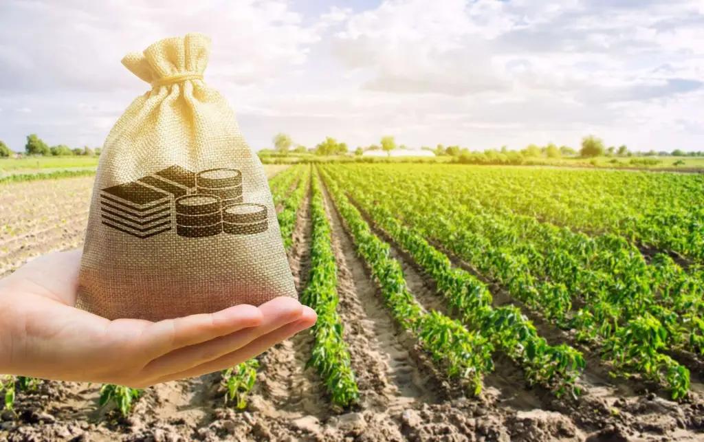 Changes in tax legislation: what benefits are provided for agriculture