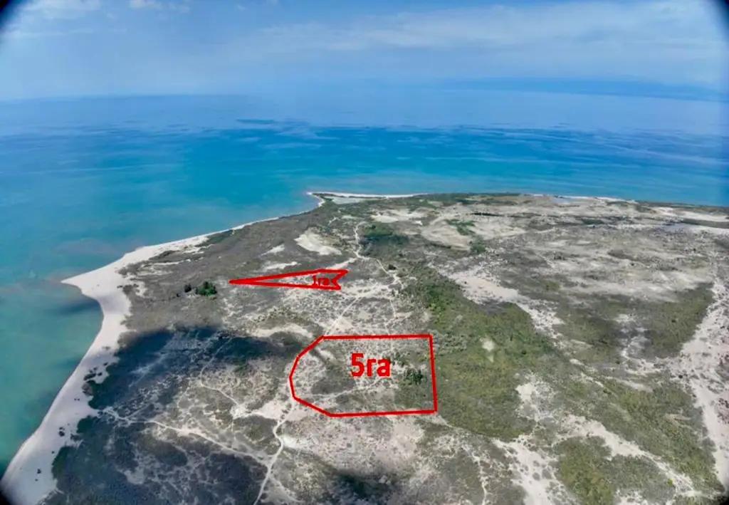 В Джети-Огузском районе два участка вернули на баланс государства