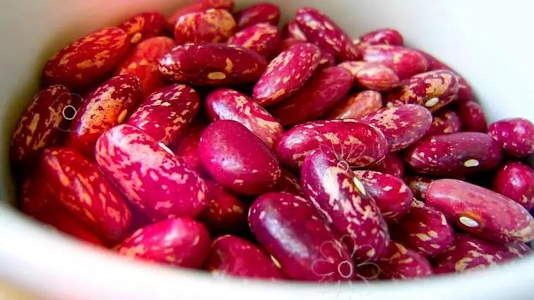 Таластын төө бурчагы 30дан ашык өлкөгө экспорттолот