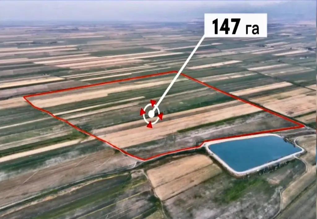 Officials in the Zhayyl district sold land at an undervalued price