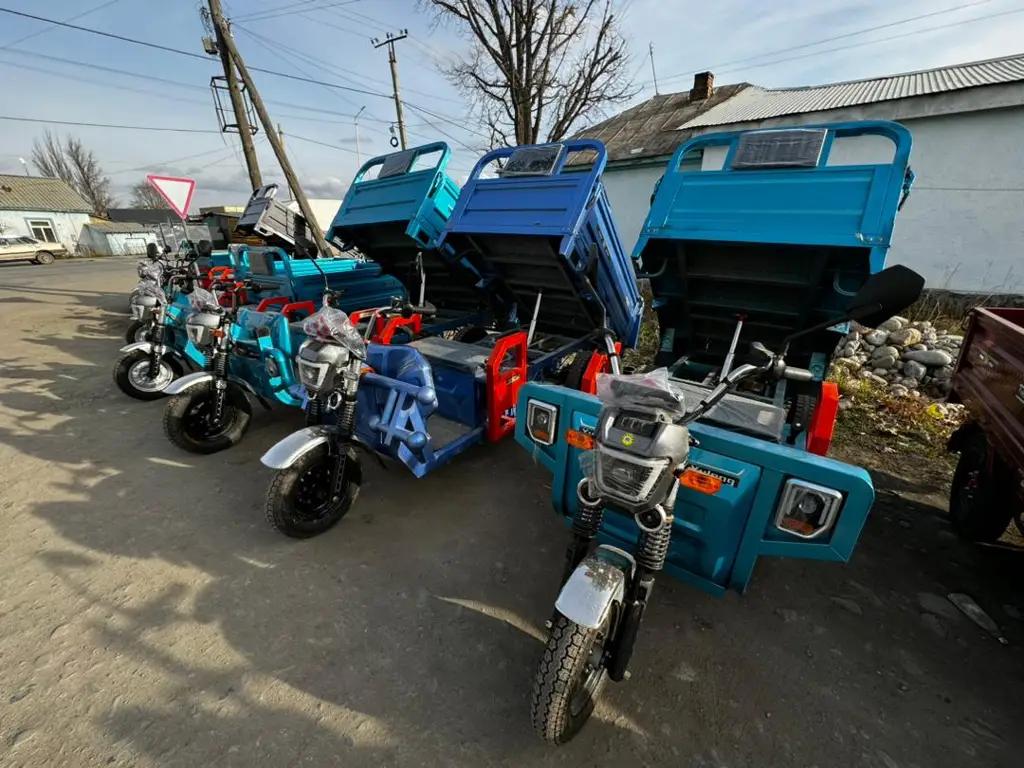 Афганистан Кыргызстандан «Желмаяндарды» импорттоого кызыкдар