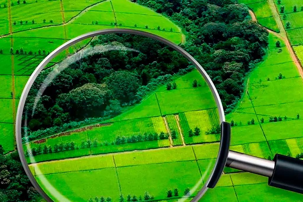 В Кадамджайском районе 200 человек незаконно получили земельные участки