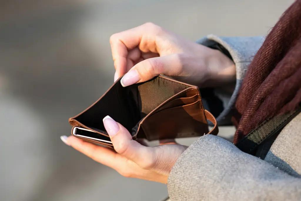 Без переводов мигрантов бедность в одной из областей КР превысила бы 65%