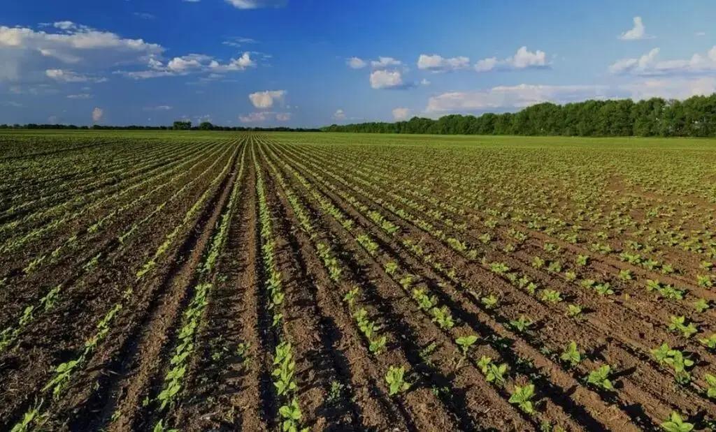 Kyrgyzstan's agriculture sector has increased its water consumption by 26% over the past five years