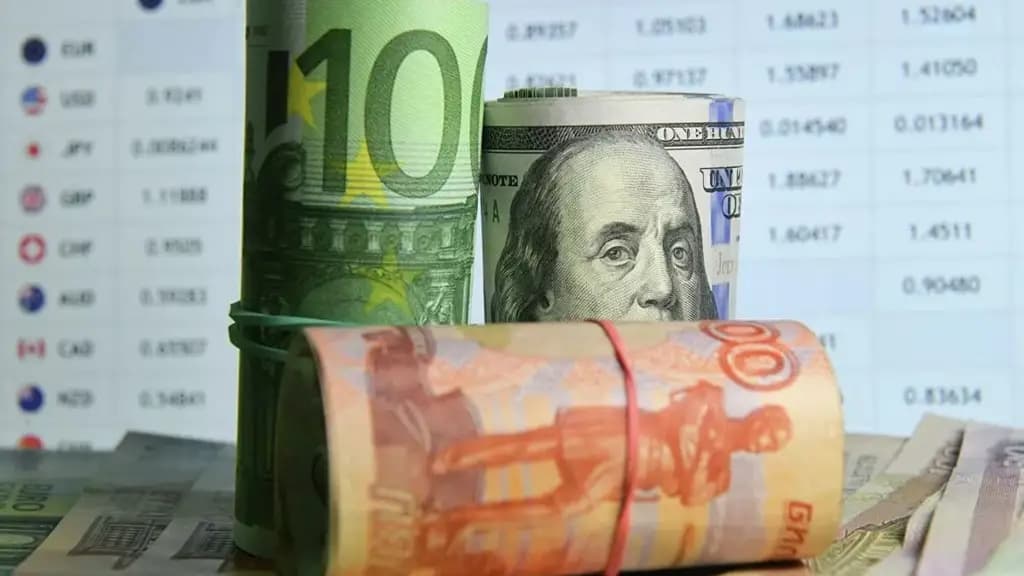 The dollar is stable, the euro has risen. Exchange rates of the National Bank of the Kyrgyz Republic as of 9 September