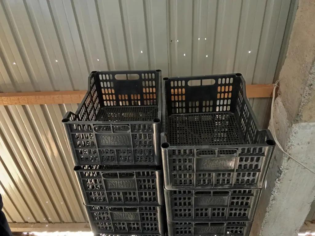 Кадамжайдагы цех суткасына 2800 даана желим кутуча чыгарат