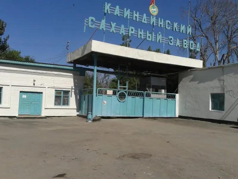 Акционеры «Каинды-Кант» рассмотрят передачу соцобъектов в собственность мэрии Каинды