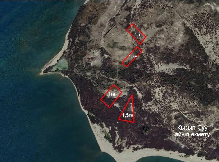 Land plots returned to state ownership in the Jeti-Oguz district