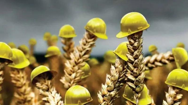 Кыргызстан готовится к перезапуску системы агрострахования