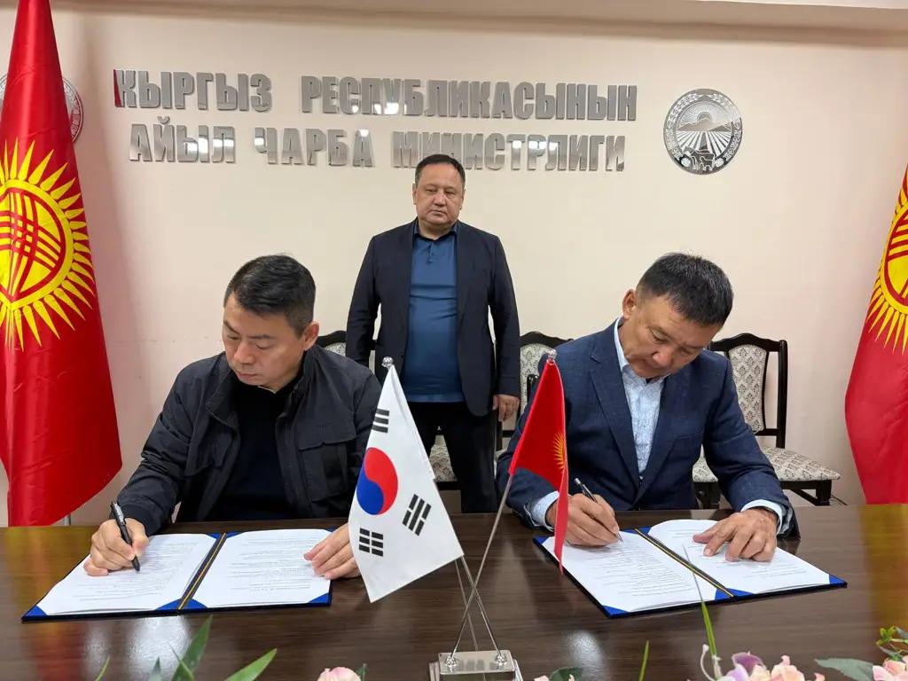 Термикалык иштетилген этти өндүрүү, сатып алуу жана Кореяга экспорттоо боюнча келишимге кол коюлду