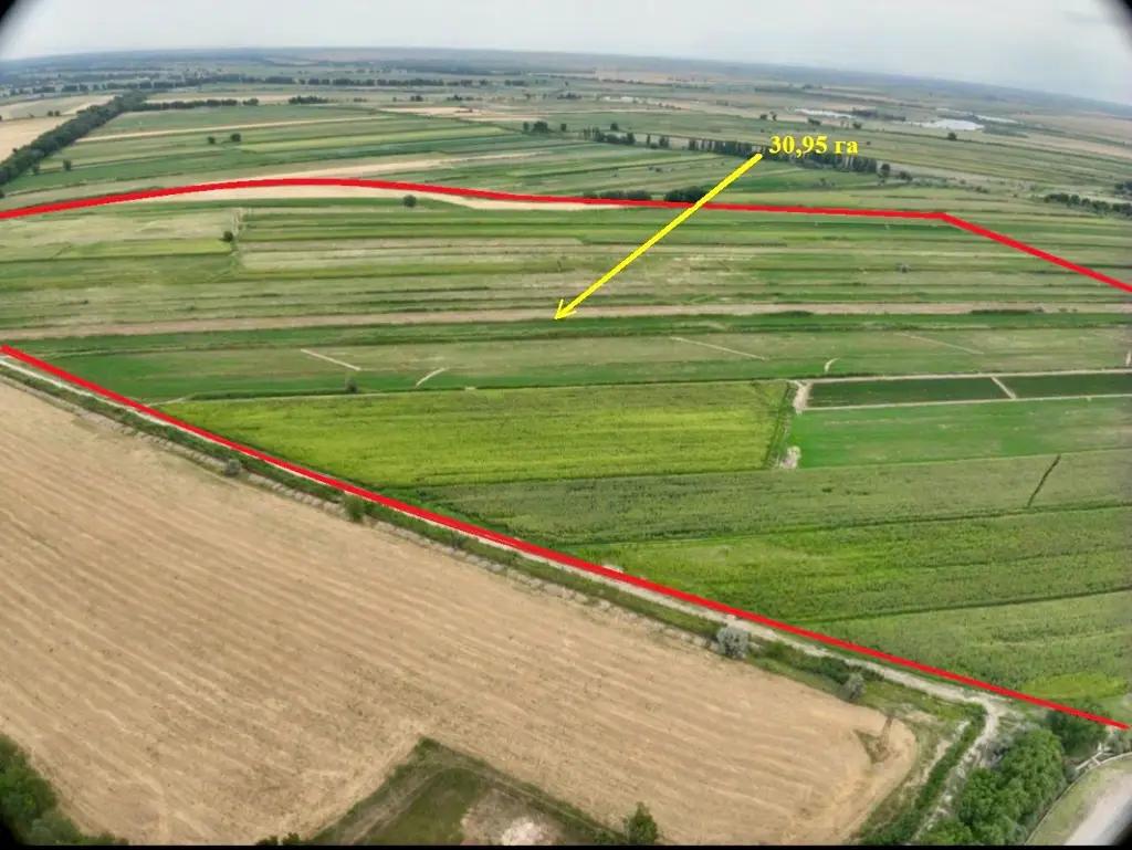 ГКНБ вернул государству 795 гектаров сельхозземель в Чуйской области