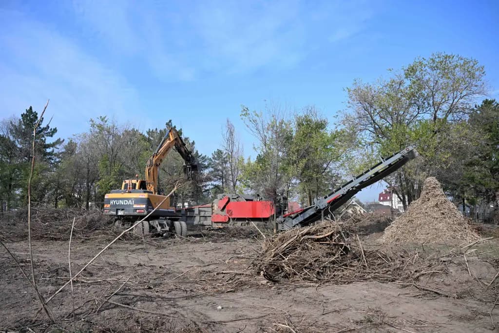 Approximately 340 million soms are required for the complete and comprehensive reconstruction of the Botanical Garden
