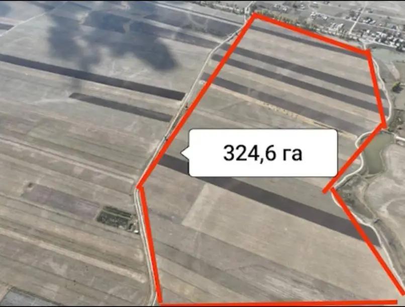 In the Tyupsky district, more than 2,000 hectares of land have been returned to state ownership