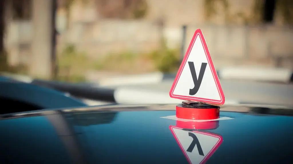 Cabinet of Ministers imposes moratorium on licensing of driving schools