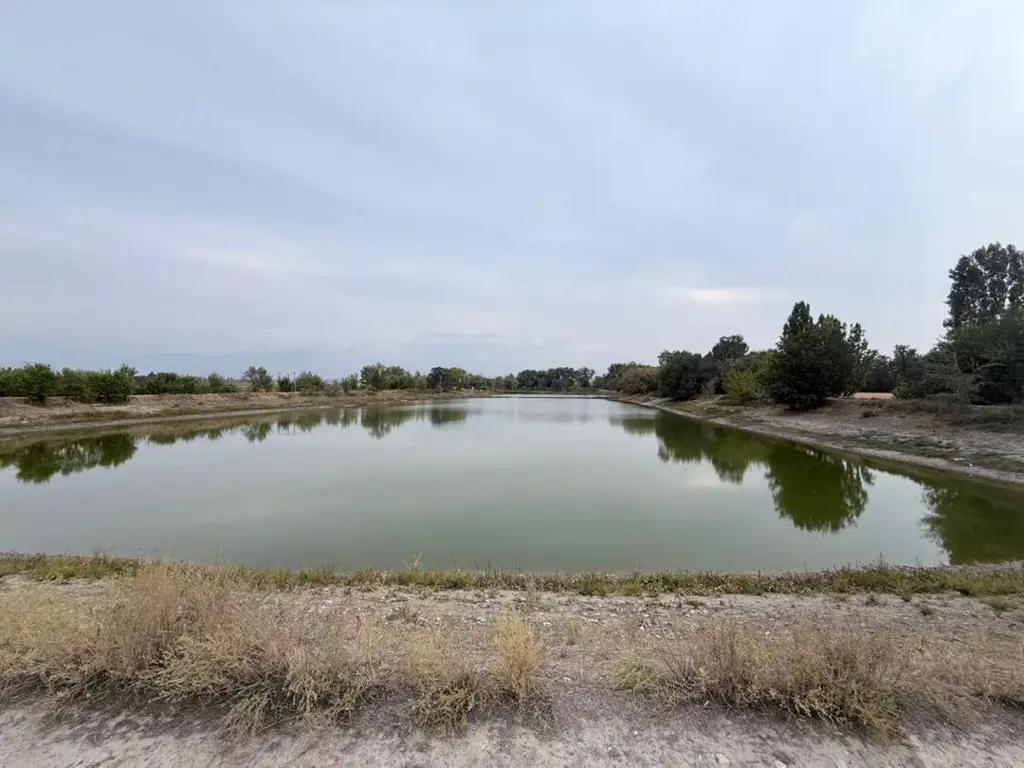 Сокулук районунда 243 млн сомдук объектилер мамлекетке кайтарылды