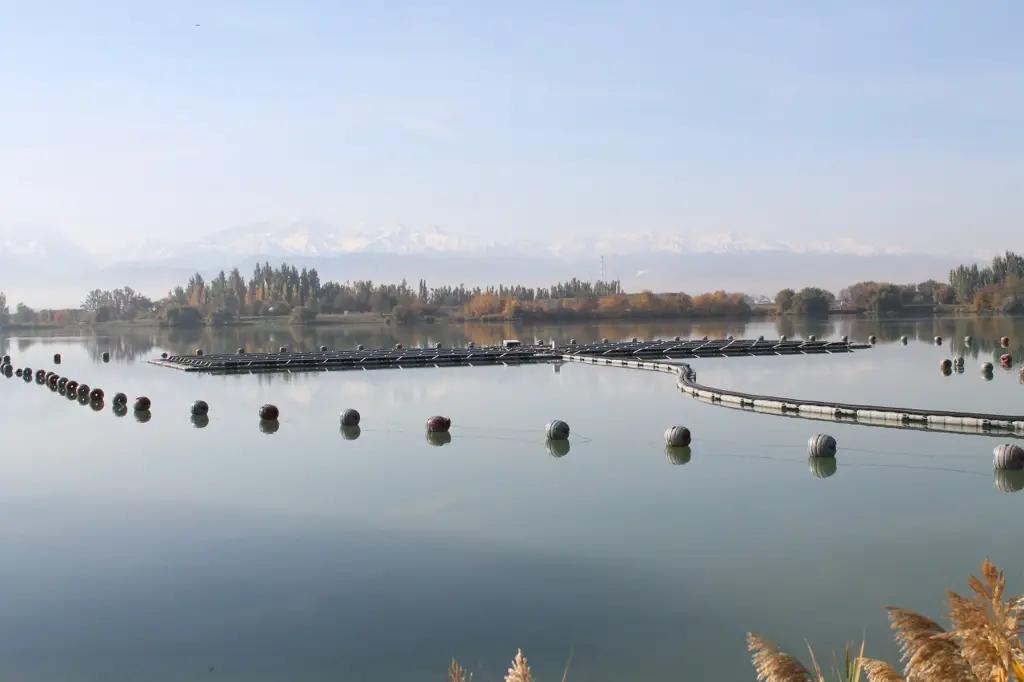 Специалисты по ВИЭ посетили ряд энергообъектов «Чакан ГЭС»