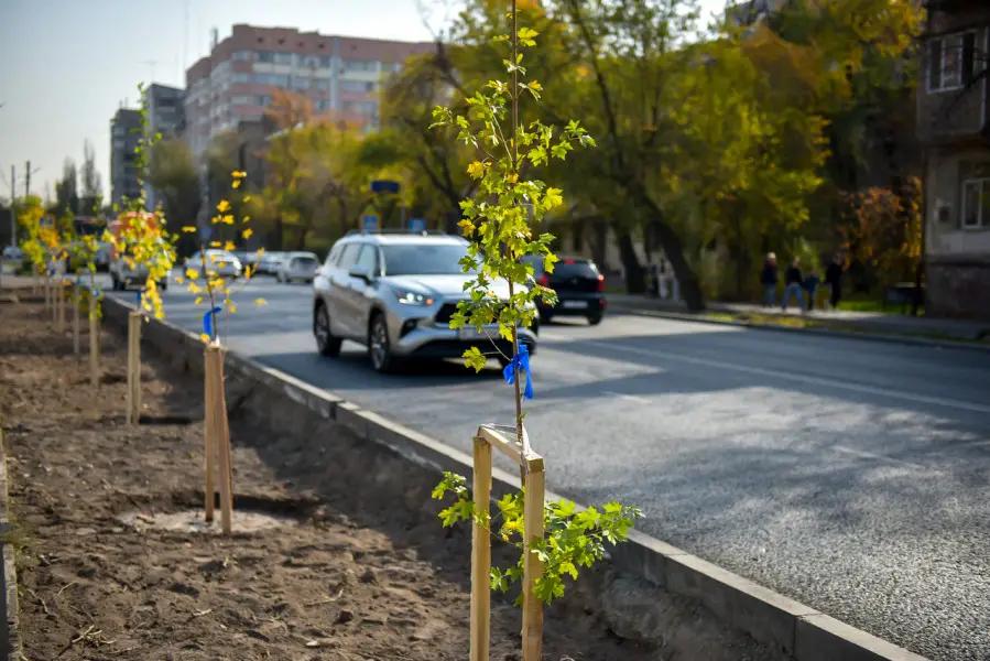 В Бишкеке посадят 10 тысяч деревьев