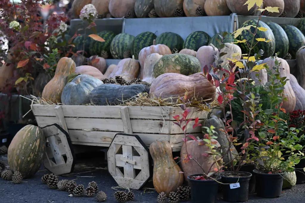 С начала года добавленная стоимость сельского хозяйства составила 115.6 млрд сомов