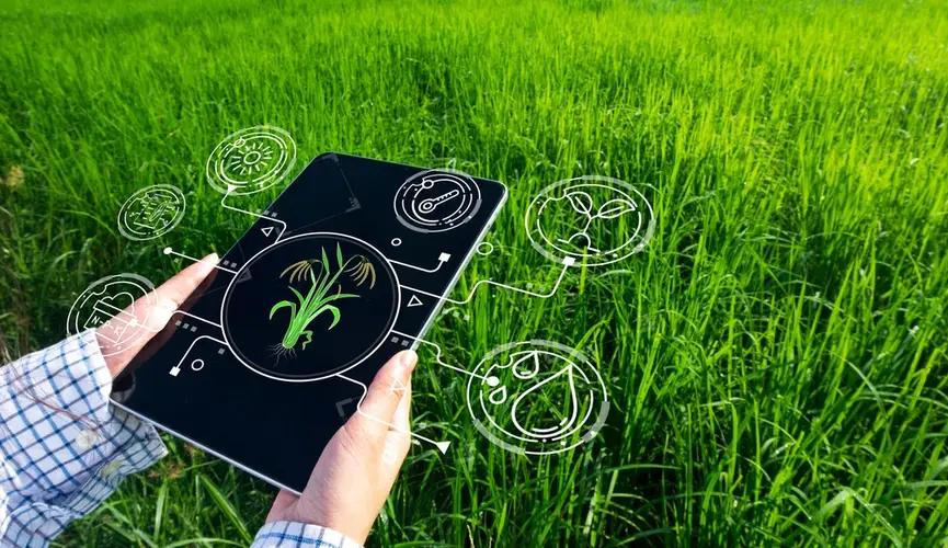 В Кыргызстане внедрят умные фермы и современные технологии