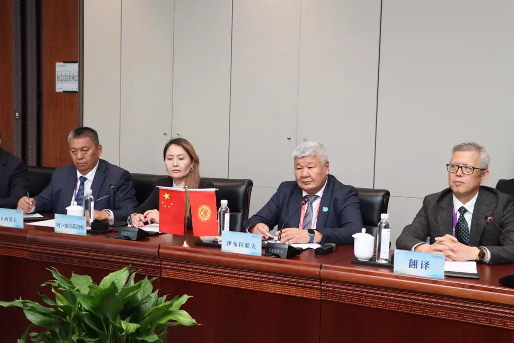 Ибраев предложил китайским компаниям построить ЛЭП «Кемин – Торугарт» и «Барскоон – Бедель»