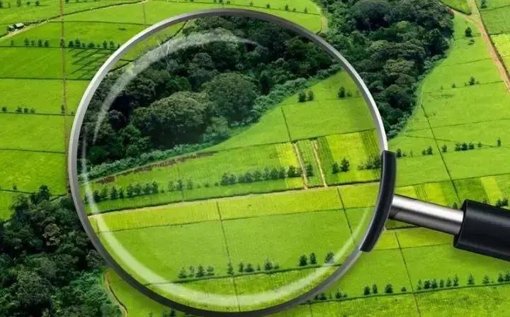 Незаконно переданные сельскохозяйственные земли вернули в госсобственность