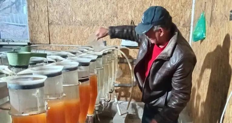 В государственных водоемах начали искусственно воспроизводить рыбные запасы