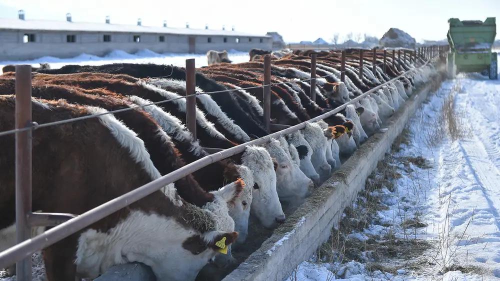 В Минфине рассказали, сколько кредитов выдано на развитие сельского хозяйства